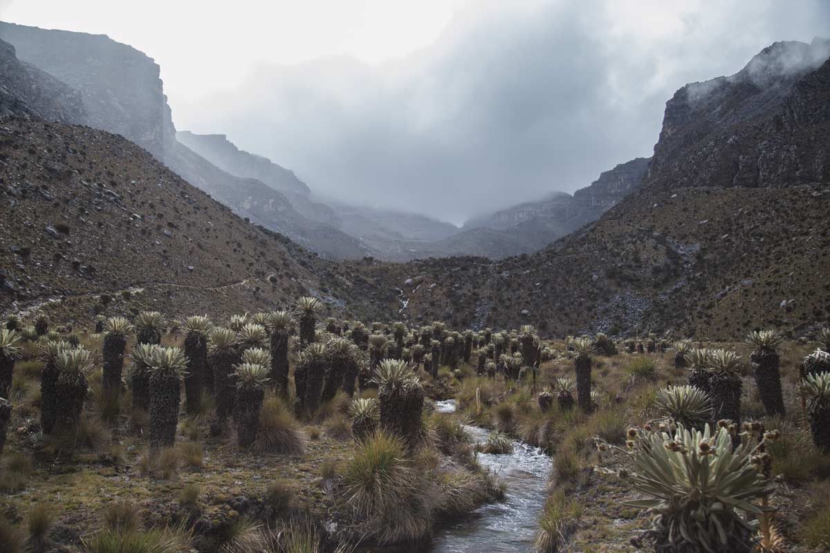 Colombia | Location